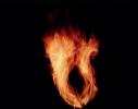 Burning Globe, Global Warming, flames, fire, NWFV01P07_03