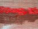 Brick Wall, spray paint, NWGD01_007B