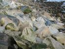 Rocks along the Seashore, NWGD01_021