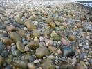 Rocks and Pebbles along the Seashore