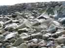 smooth rocks along the seashore, Massachusetts, NWGD01_035