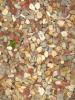 Rocks, Pebbles, Beach, NWGD01_041