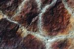 Granit Rock, veins, NWGV01P03_15.2876