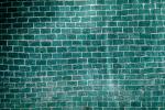 Brick Wall, NWGV01P09_04B.2876