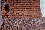 adobe brick, NWGV01P10_03.2876