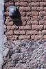 adobe brick, NWGV01P10_03B