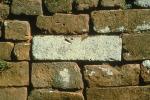 adobe brick, NWGV02P02_03.2877