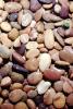 Wet Rocks, Pebbles, seashore, NWGV02P04_04