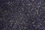 Mica, ground, stars, NWGV02P04_12