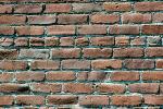 Brick wall, NWGV02P06_12