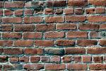 Brick wall, NWGV02P06_13