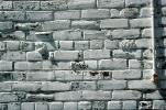 Brick wall, NWGV02P06_18