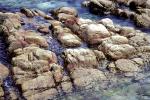 Rocks along the Seashore, NWGV02P10_07