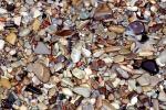 Wet Rocks, Pebbles, Beach, seashore, NWGV02P12_05