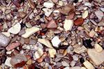 Wet Rocks, Pebbles, Beach, seashore, NWGV02P12_06