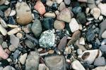 Wet Rocks, Pebbles, Beach, seashore, NWGV02P12_07
