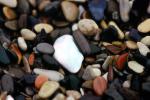 Wet Rocks, Pebbles, Beach, seashore, NWGV02P12_11