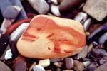 Wet Rocks, Pebbles, Beach, seashore, NWGV02P12_13