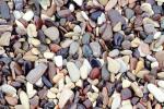 Wet Rocks, Pebbles, Beach, seashore, NWGV02P12_16