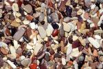 Wet Rocks, Pebbles, Beach, seashore, NWGV02P12_18