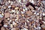 Wet Rocks, Pebbles, Beach, seashore, NWGV02P13_02