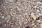 Wet Sand, Pebbles, Beach, seashore, NWGV02P13_07