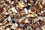 Wet Rocks, Pebbles, Beach, seashore, NWGV02P13_09