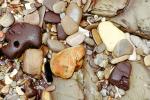 Wet Rocks, Pebbles, Beach, seashore, NWGV02P13_14