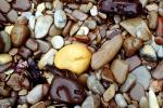 Wet Rocks, Pebbles, Beach, seashore, NWGV02P13_15