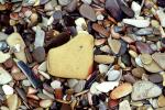 Wet Rocks, Pebbles, Beach, seashore, NWGV02P13_19