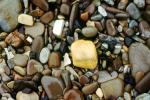 Wet Rocks, Pebbles, Beach, seashore, NWGV02P14_03