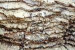Granit Layers, Rock, NWGV02P15_13