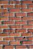 brick wall, NWGV03P02_19