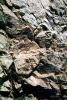 Granit Boulders, Rock