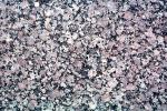 Granit Rock Slab, NWGV03P04_15
