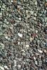 Pebbles, Rock, NWGV03P05_03