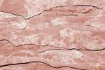 Sandstone Texture, skin, wrinkles, rock, veins, NWGV03P08_14