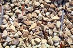 Rocks, Pebbles, NWGV03P08_15