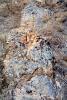 Lichen on a Rock, NWGV03P09_09