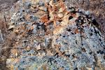Lichen on a Rock, NWGV03P09_10