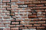 Old Brick Wall, falling apart, NWGV03P10_14