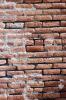 Old Brick Wall, falling apart, NWGV03P10_16