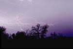 Lightning Bolt, NWLV01P01_11