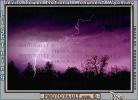 Lightning Bolt, NWLV01P01_13