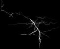 Lightning Bolt, NWLV01P04_05BBW