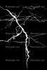 Lightning Bolt, NWLV01P04_05C