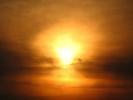 Sunset, Sunrise, Sunclipse, Sunsight, NWSD01_161