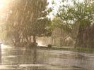 Rain, Rainy, Downpour, Deluge, NWSD01_270