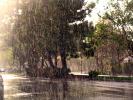 Rain, Rainy, Downpour, Deluge, NWSD01_271