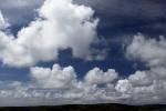 Cumulus Puffs, Tomales Bay, Marin County, California, NWSD03_099